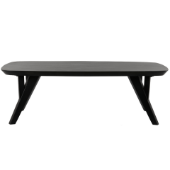 Quenza salontafel 120x65x40 cm mat zwart
