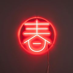 Sya neon wandlamp - lente