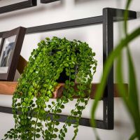 Woody metaal wandplank 20 cm van het woonmerk Fraaai