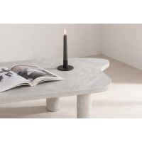 Svea Ricardo organische salontafel MDF - concrete look