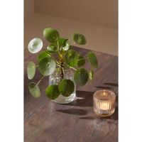 Svea Sheena salontafel 80x80 cm MDF - mocca