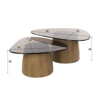Fraaai Caruso salontafels - driehoekig - set van 2 - smoked glass