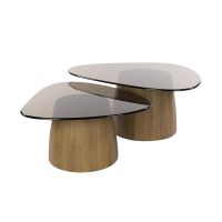 Fraaai Caruso salontafels - driehoekig - set van 2 - smoked glass