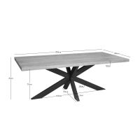 Starfurn Eettafel Dakota rechthoek 220 cm - naturel