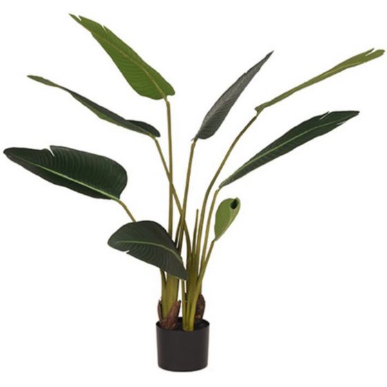 Strelitzia kunstplant 70x70x100 cm