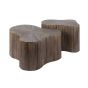 Boone salontafel set van 2 shamrock Maya teak - bruin