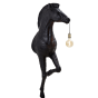 Zebra wandlamp 63x35x161 cm zwart van het woonmerk Light & Living
