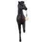 Zebra wandlamp 63x35x161 cm zwart van het woonmerk Light & Living