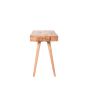 Steady  bureau mangohout 118x50x77 cm