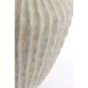 Cacti vaas Ø52x65 cm - beige