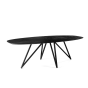 Dotan eettafel ovaal 240x110 cm