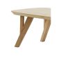 Quenza salontafel 120x65x40 cm - mangohout naturel