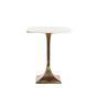 Rickerd bijzettafel 45x45x53 cm - wit marmer/antiek brons