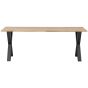 Combi-Tablo eiken 220x90 cm + Alkmaar poot