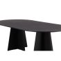 Liro deens ovale eettafel - 230 x 115 cm - zwart