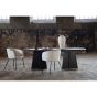 Liro deens ovale eettafel - 230 x 115 cm - zwart
