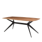 Bjorn rechthoekige eettafel - 200 cm - mangohout