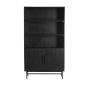 Dubaku kast 100x40x180 cm