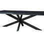 Kala spider tree top zwart 220cm