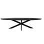 Eettafel Brandy ovaal 240 cm - zwart