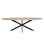 Ferris eettafel ovaal 210 cm