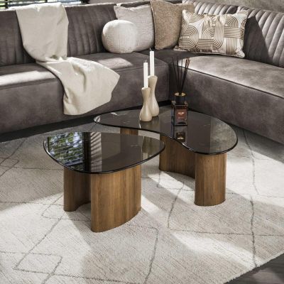 Fraaai Caruso organische salontafels - set van 2 - smoked glass