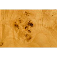 Dutchbone Quinn salontafel - naturel/bruin