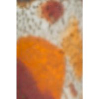 Earl tafellamp - meerkleurig