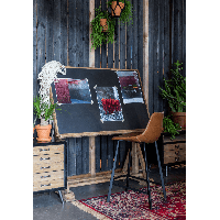 Counter Barstoel Franky 65 cm