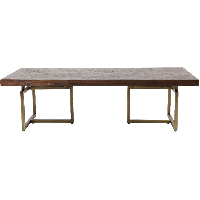 Class salontafel 120x60x35 cm bruin/goud van het woonmerk Dutchbone
