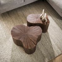 Boone salontafel set van 2 shamrock Maya teak - bruin