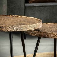 Fraaai Salontafel Maaike - Set van Twee