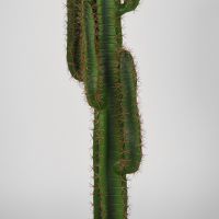 Label51 Cactus kunstplant 30x25x130 cm