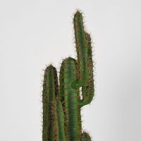 Label51 Cactus kunstplant 30x25x130 cm