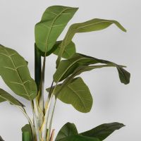 Label51 Musa kunstplant 110x110x180 cm