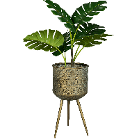 Plantenstandaard Botanique Groot