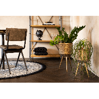 Plantenstandaard Botanique Groot