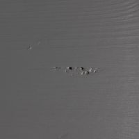 Woood Dennis ladekast grenen - grijs