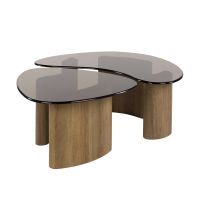 Caruso organische salontafels - set van 2 - smoked glass