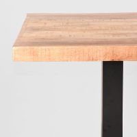 Restaurant/Bartafel 120x70x92 cm - straight edge - naturel
