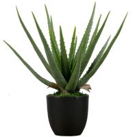 Woood Aloë Vera Kunstplant Groen 46 cm