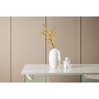 Donata rechthoekige bijzettafel - 80 x 120 cm - glas