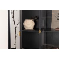 Svea Salvo vitrinekast - 90 x 190 