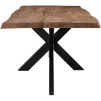 Sturdy eettafel spider tree top
