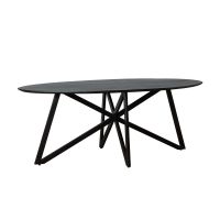 Livingfurn Eettafel Oslo Ovaal Zwart 200 cm - Web Poot