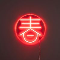 Sya neon wandlamp - lente