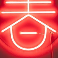 Sya neon wandlamp - lente