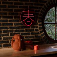 Sya neon wandlamp - lente