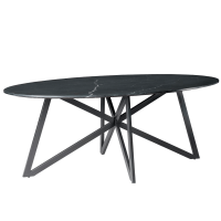 Marble eettafel ovaal 200 cm marmer web van het woonmerk Livingfurn